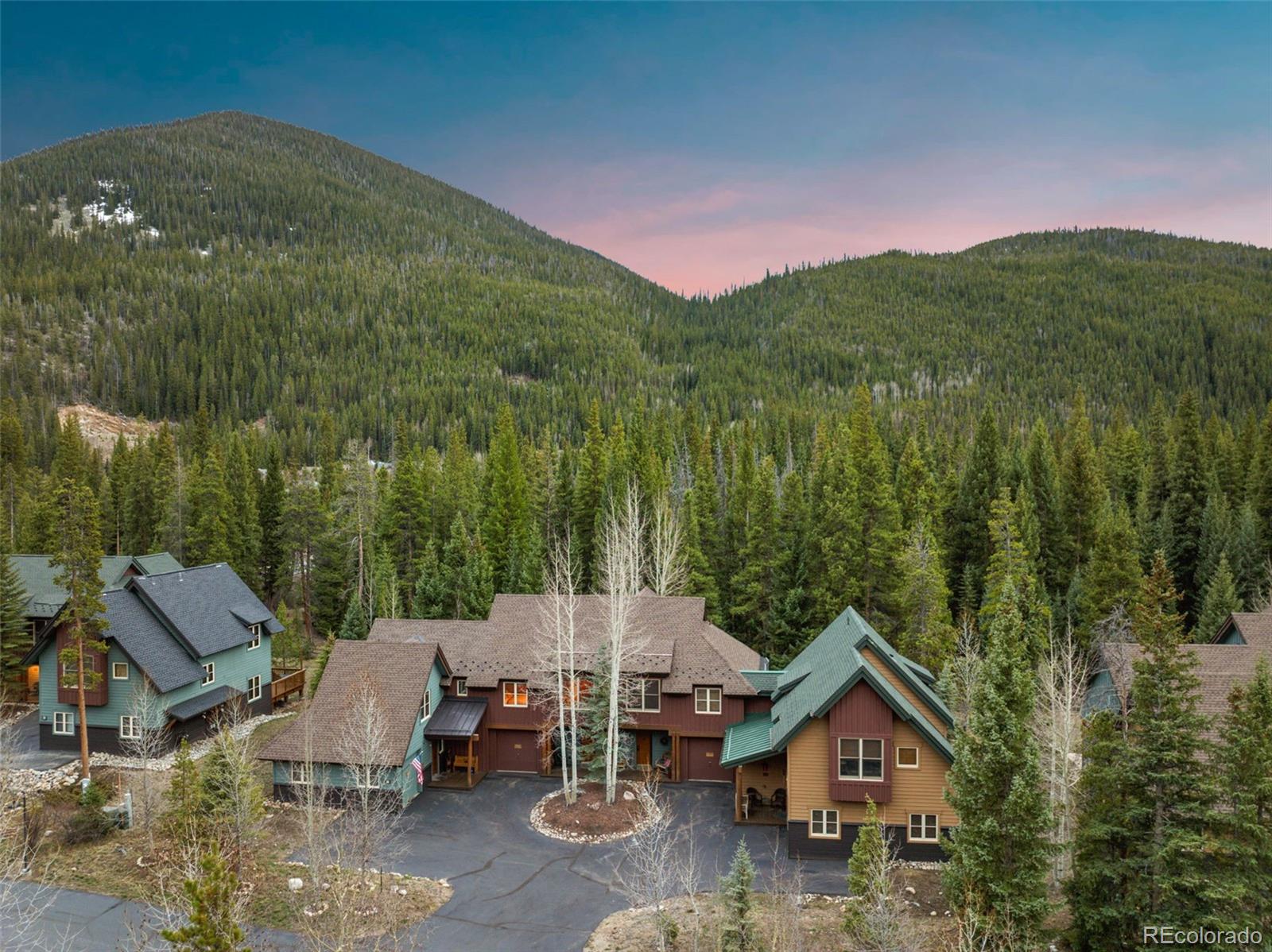 206 Alpen Rose Place Dillon CO 80435