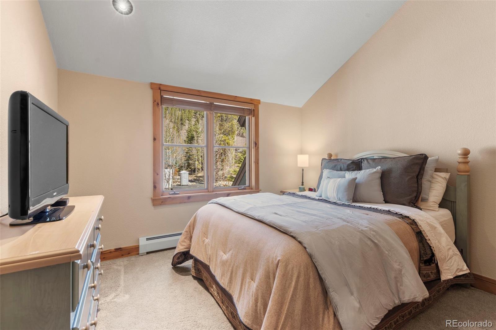 206 Alpen Rose Place Dillon CO 80435