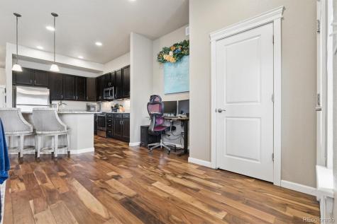 11733 Crestop Way Parker CO 80138