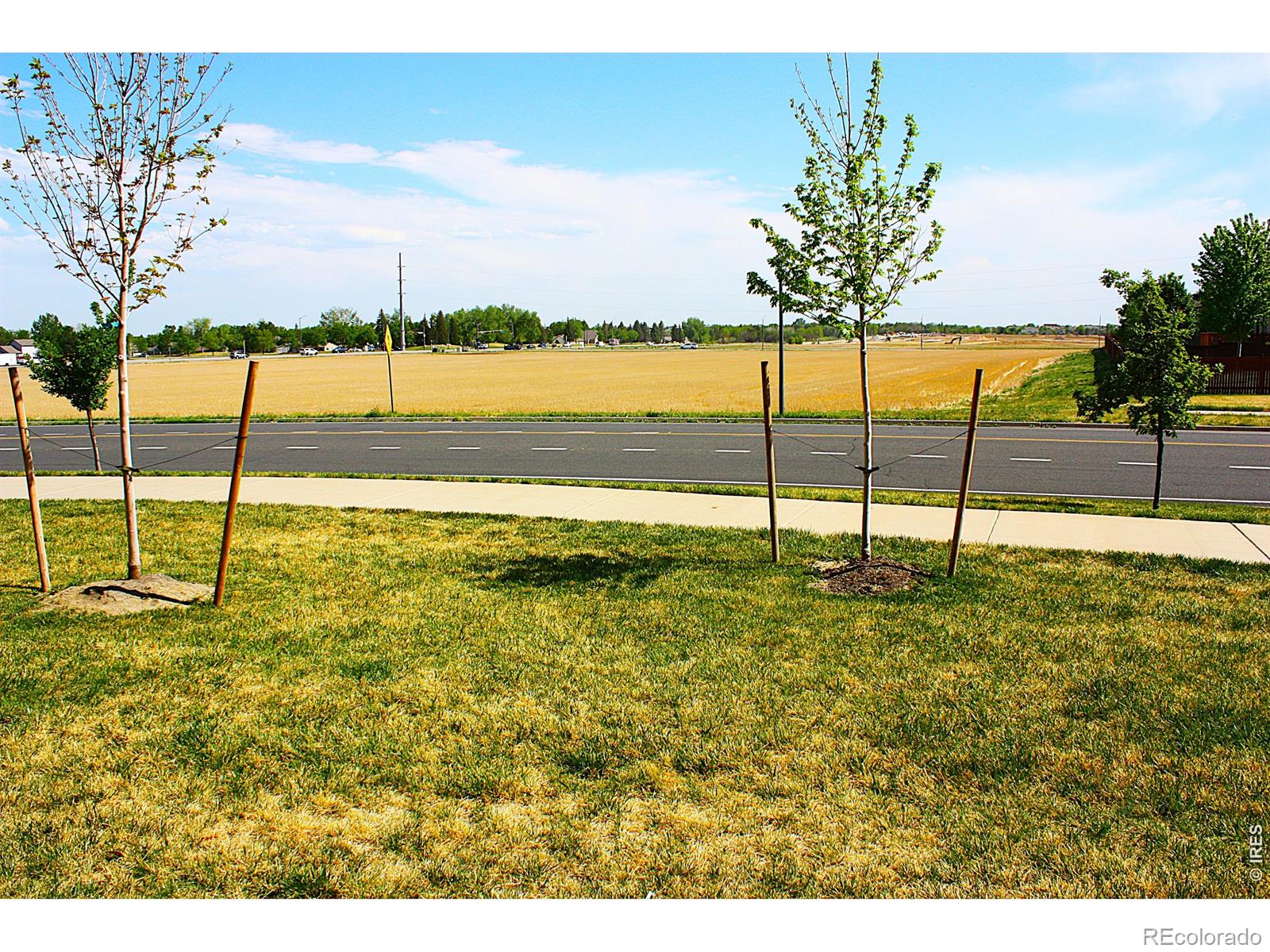 2960 Kincaid Drive Loveland CO 80538