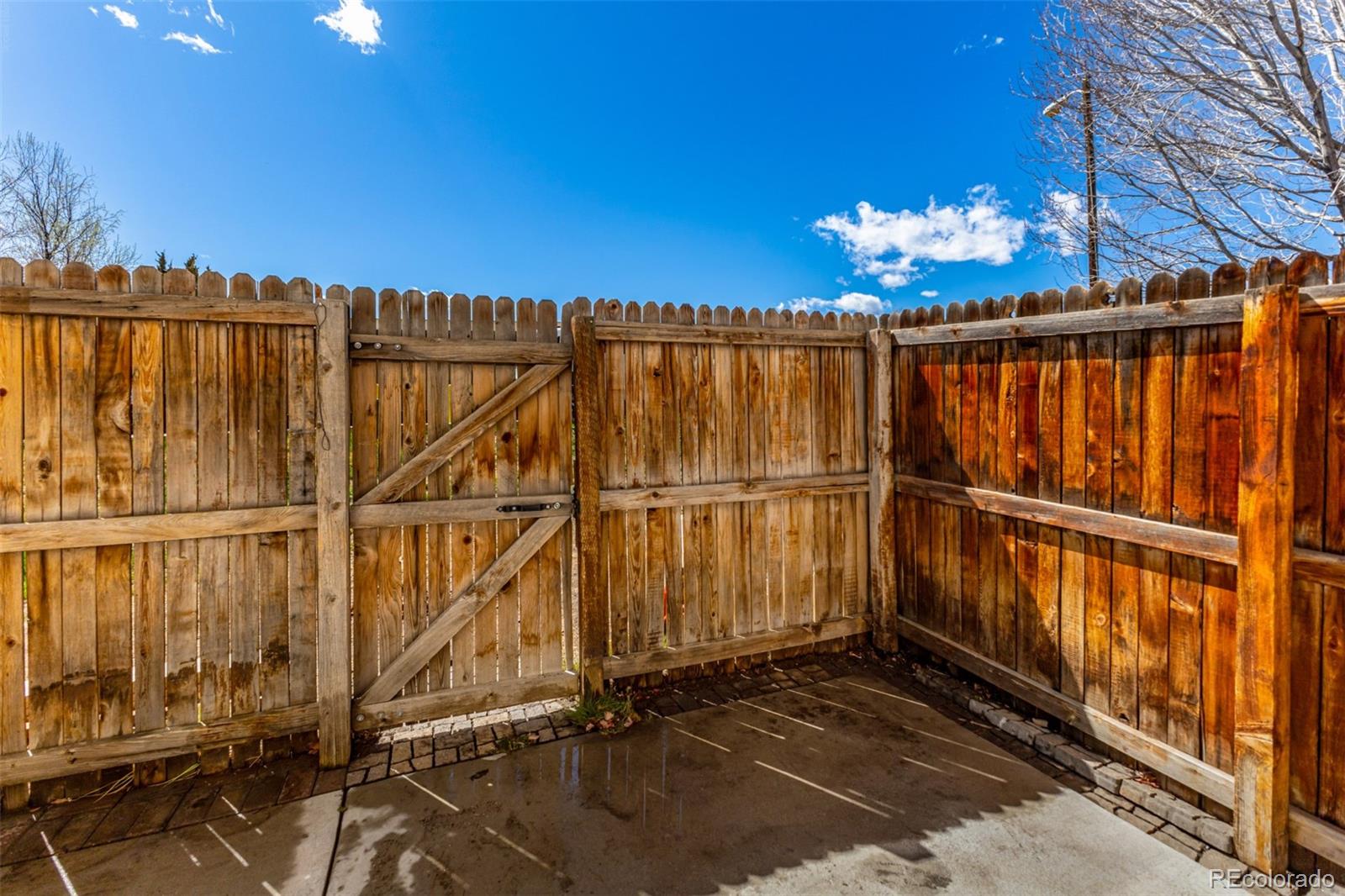 7772 W Glasgow Place Littleton CO 80128
