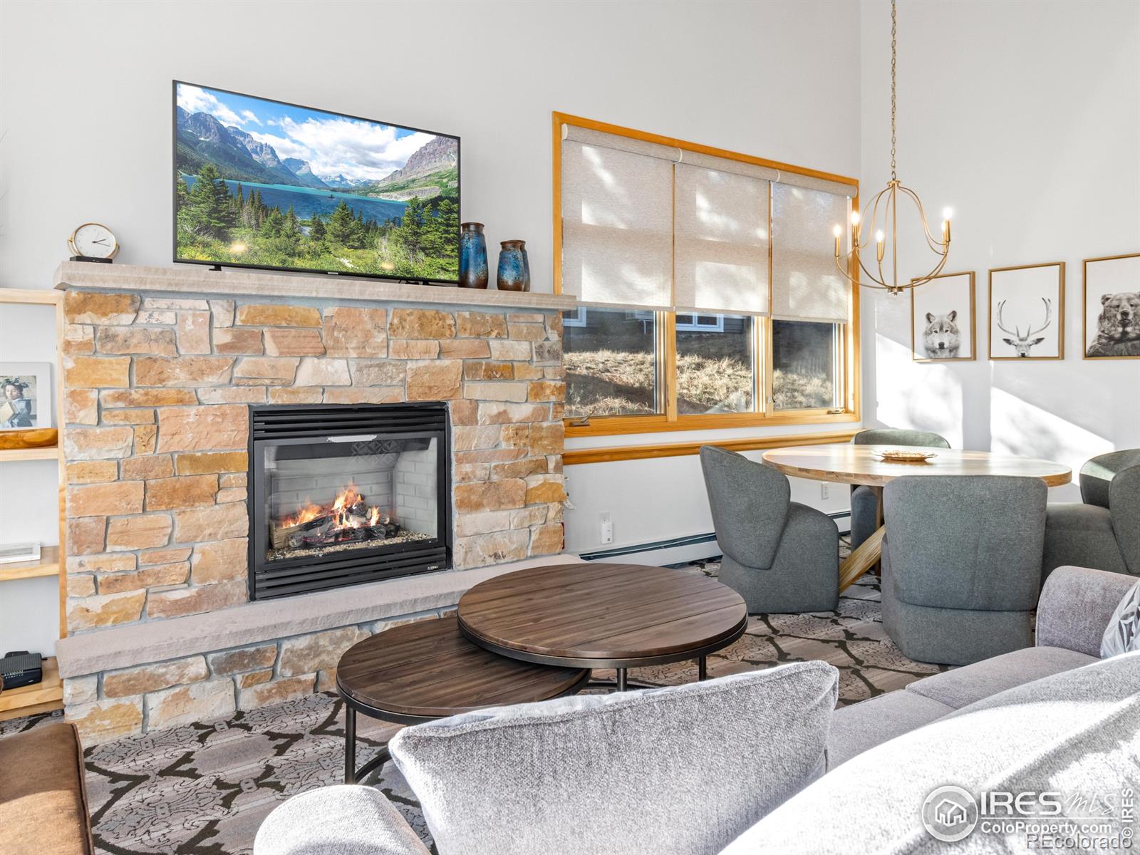 321 Overlook Court Estes Park CO 80517