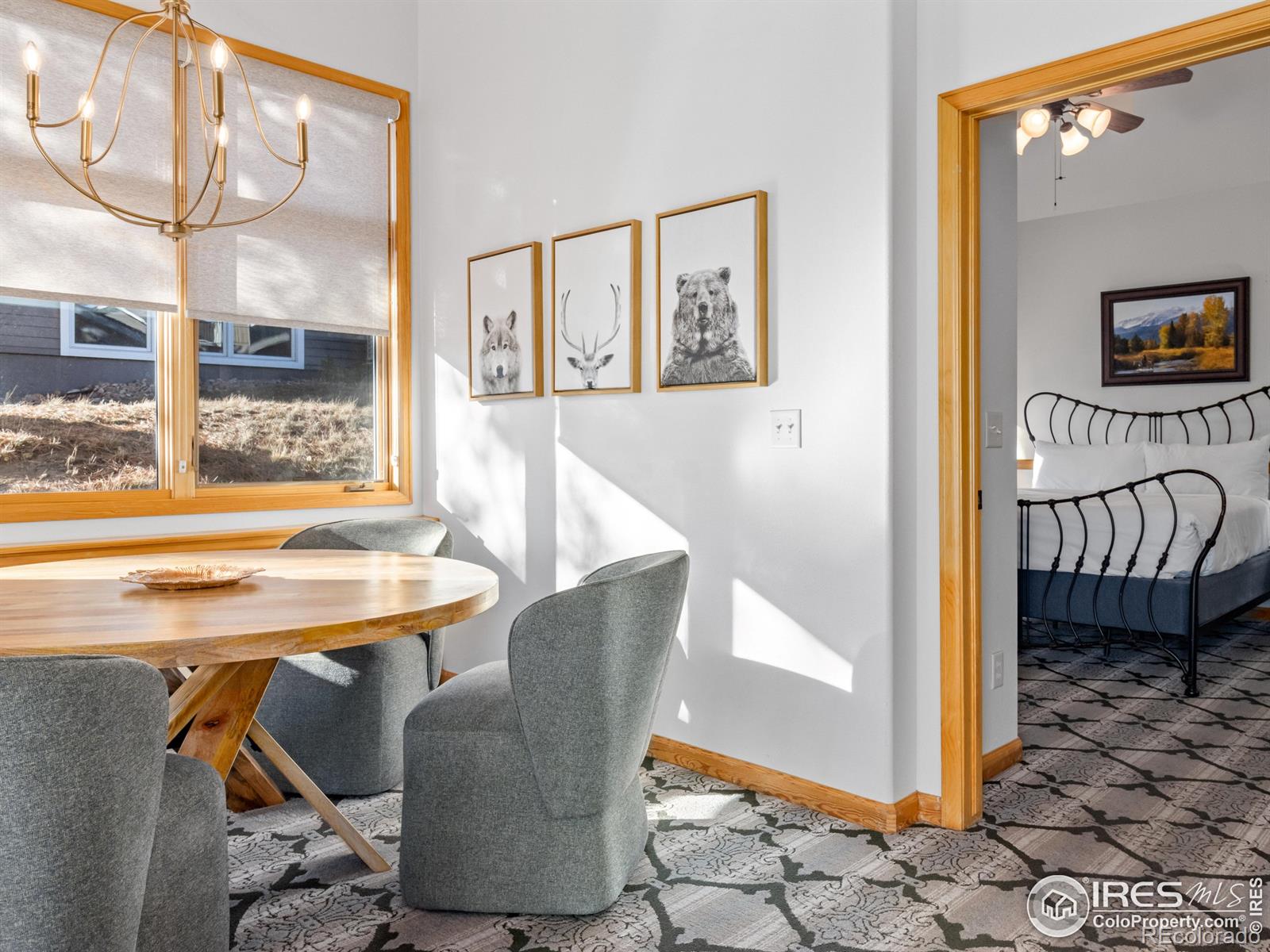 321 Overlook Court Estes Park CO 80517