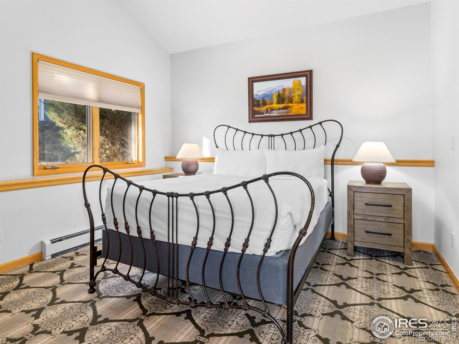 321 Overlook Court Estes Park CO 80517