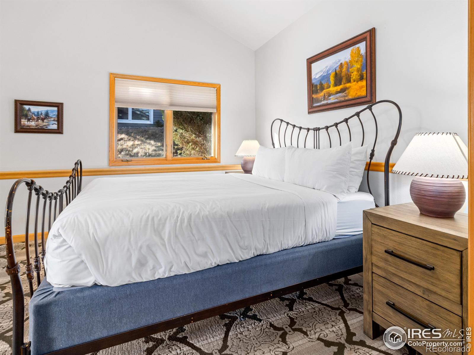 321 Overlook Court Estes Park CO 80517