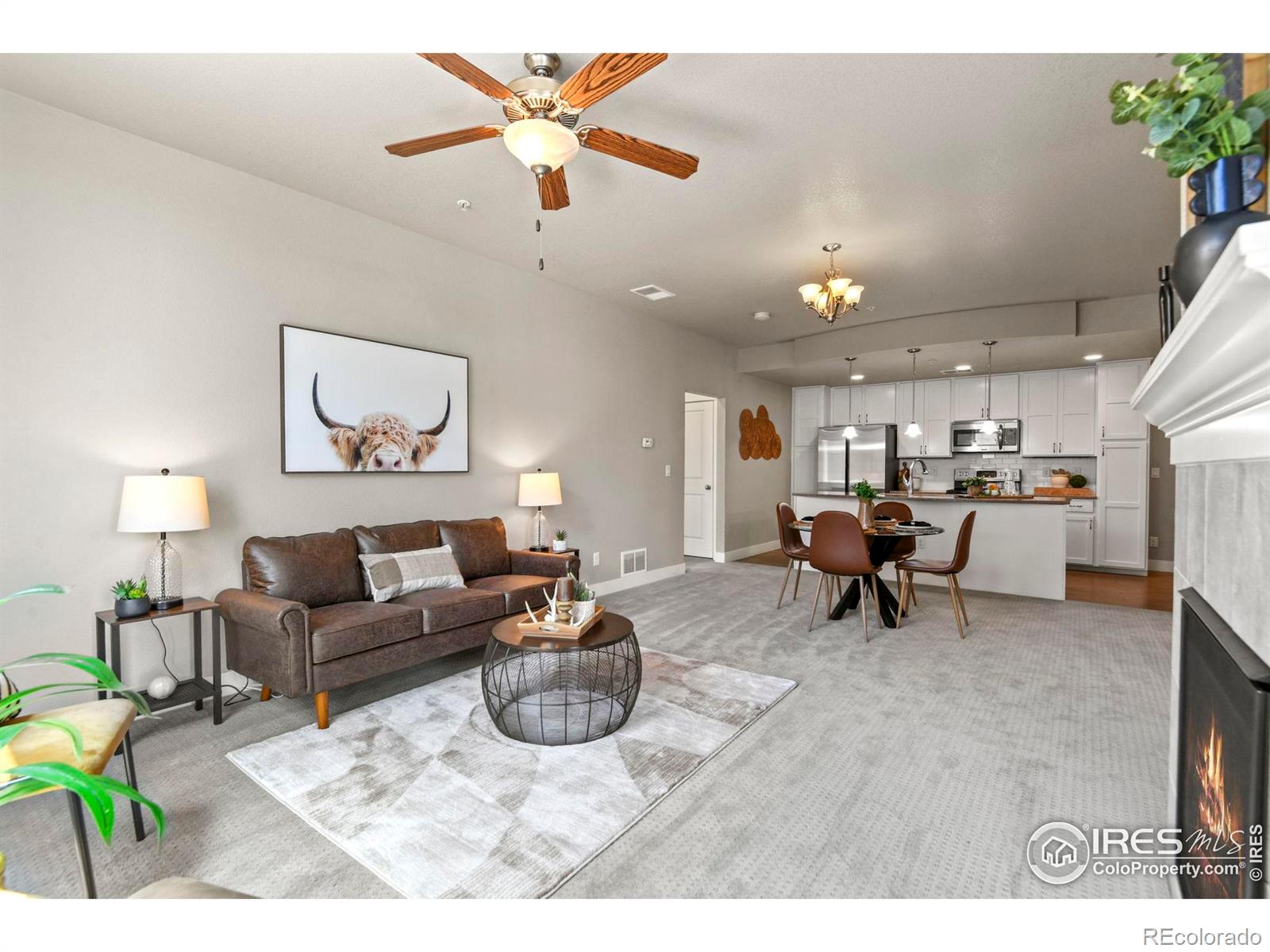 2241 Limon Drive Fort Collins CO 80525