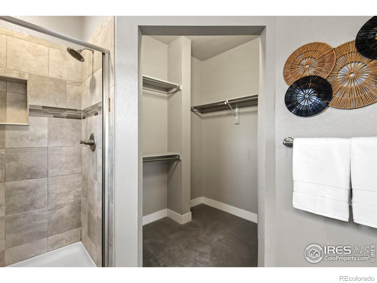 2241 Limon Drive Fort Collins CO 80525