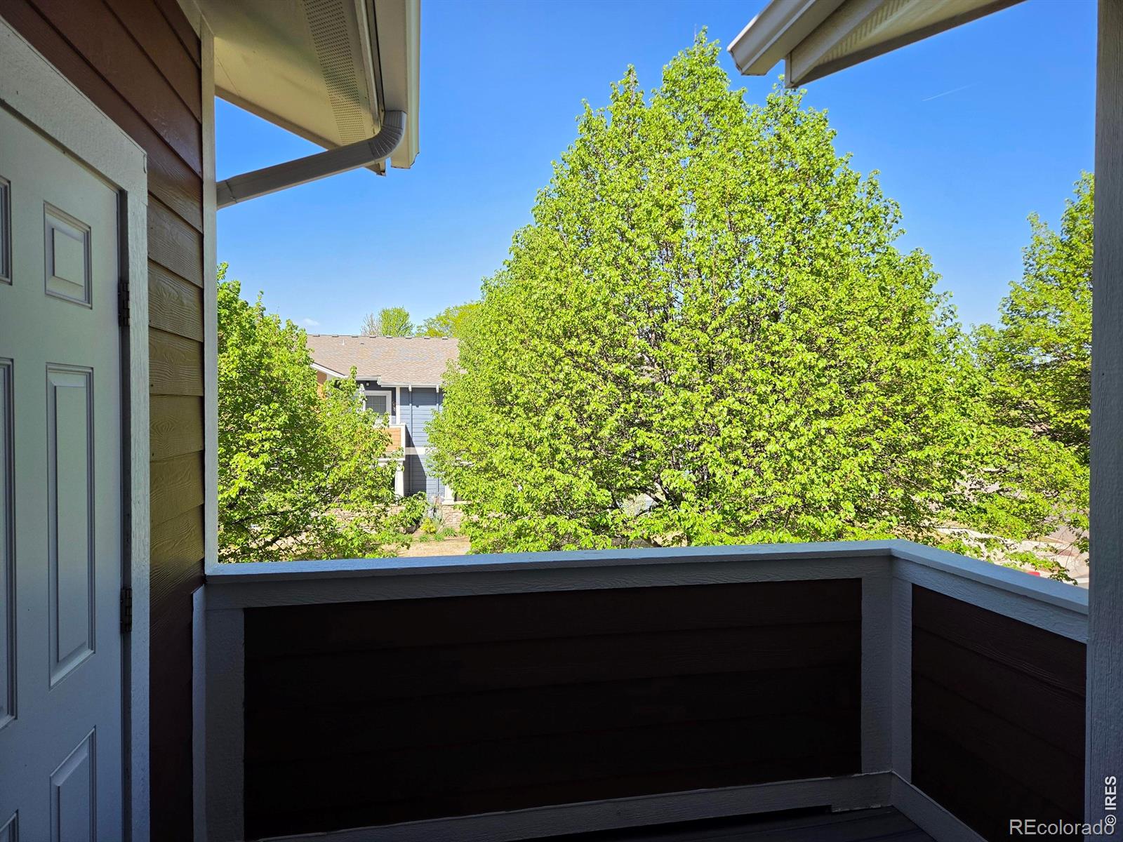 2202 Owens Avenue Fort Collins CO 80528