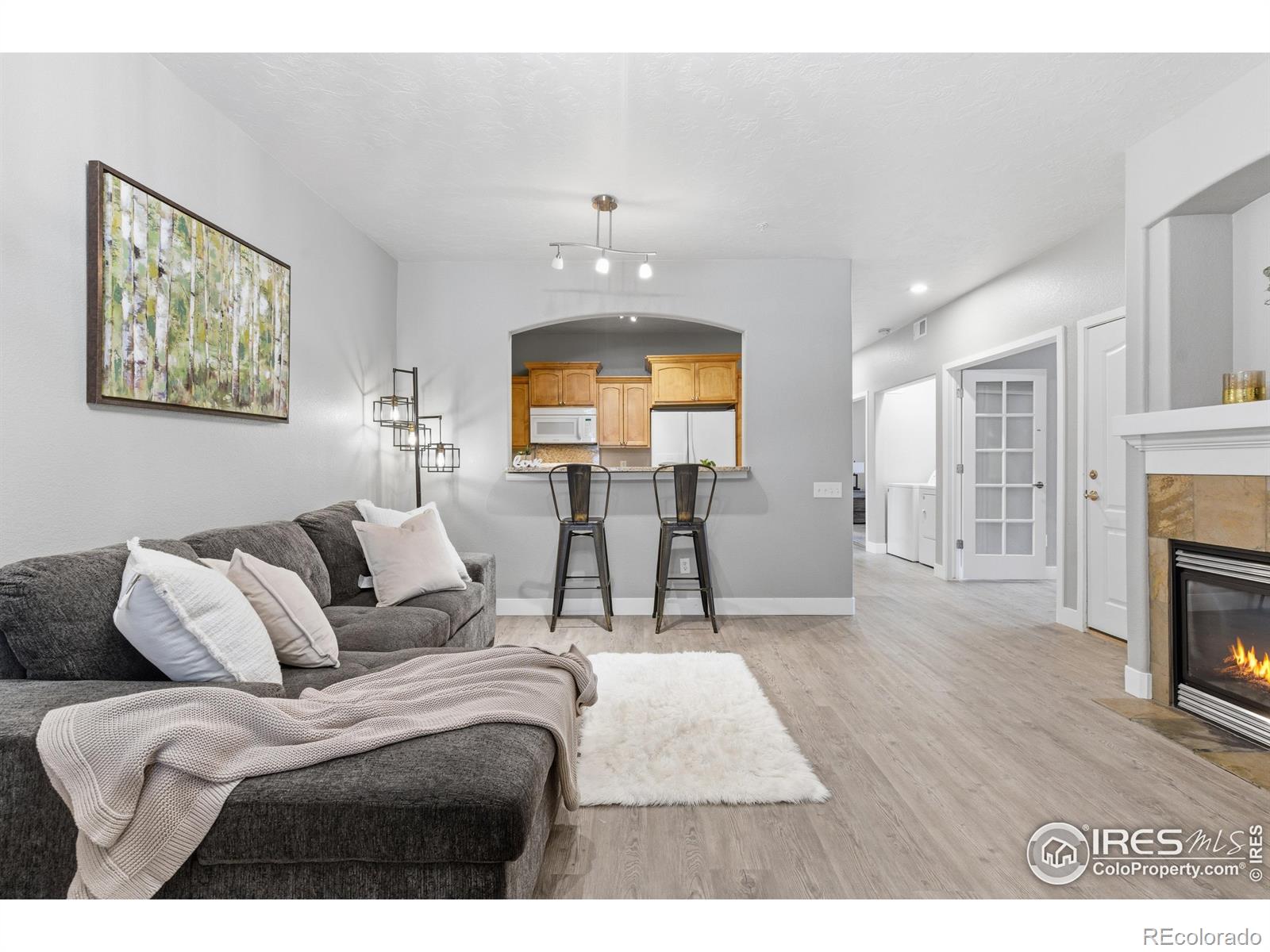 4101 Crittenton Lane Wellington CO 80549