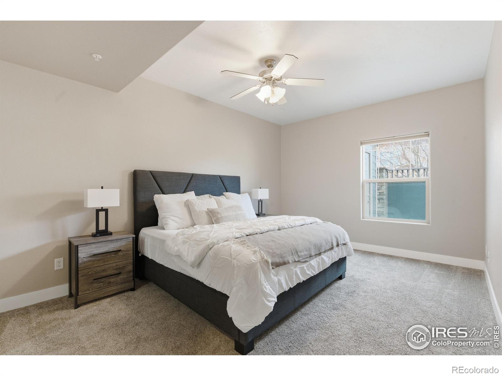 4101 Crittenton Lane Wellington CO 80549