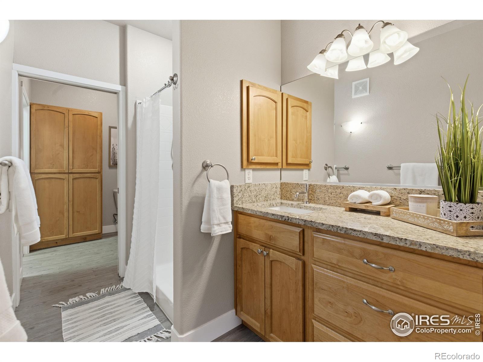 4101 Crittenton Lane Wellington CO 80549