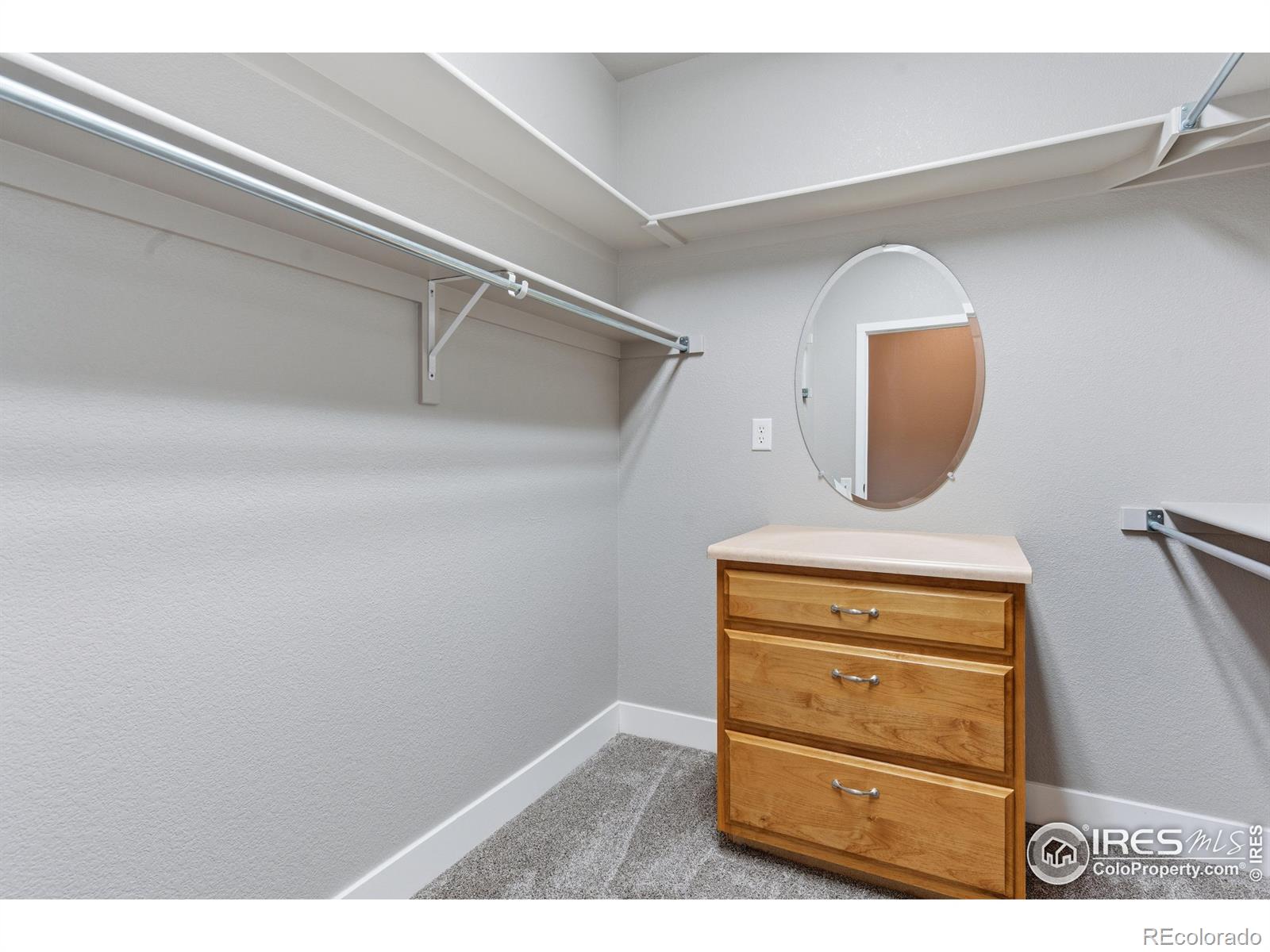 4101 Crittenton Lane Wellington CO 80549
