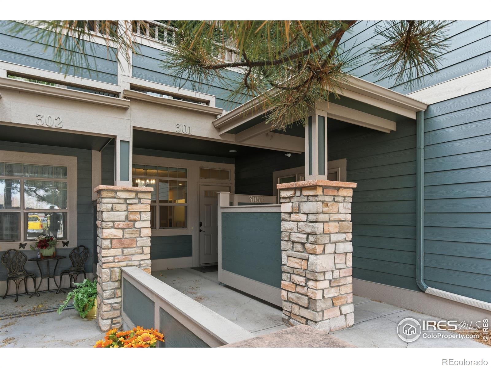 4101 Crittenton Lane Wellington CO 80549