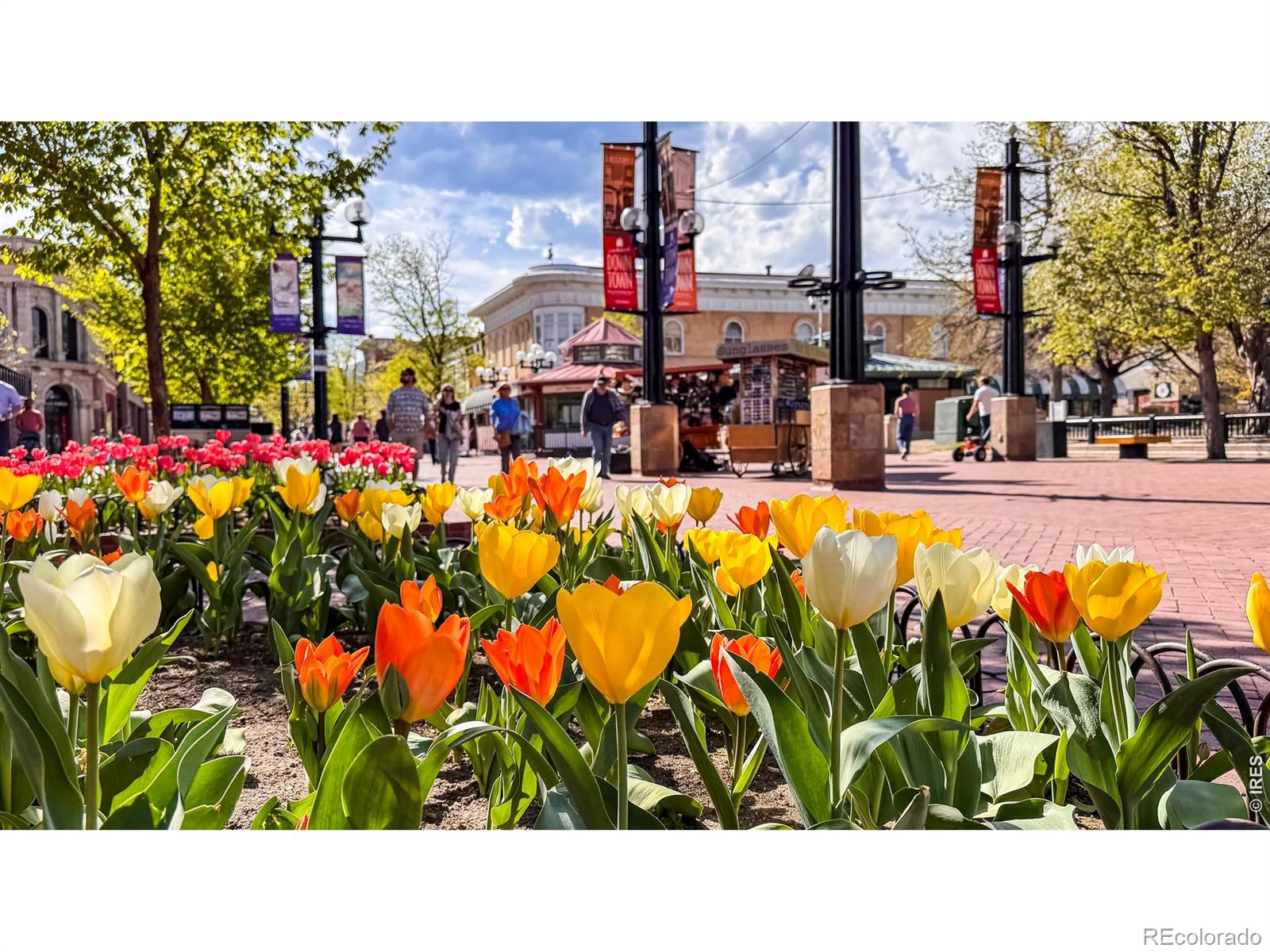 2125 11th Street Boulder CO 80302