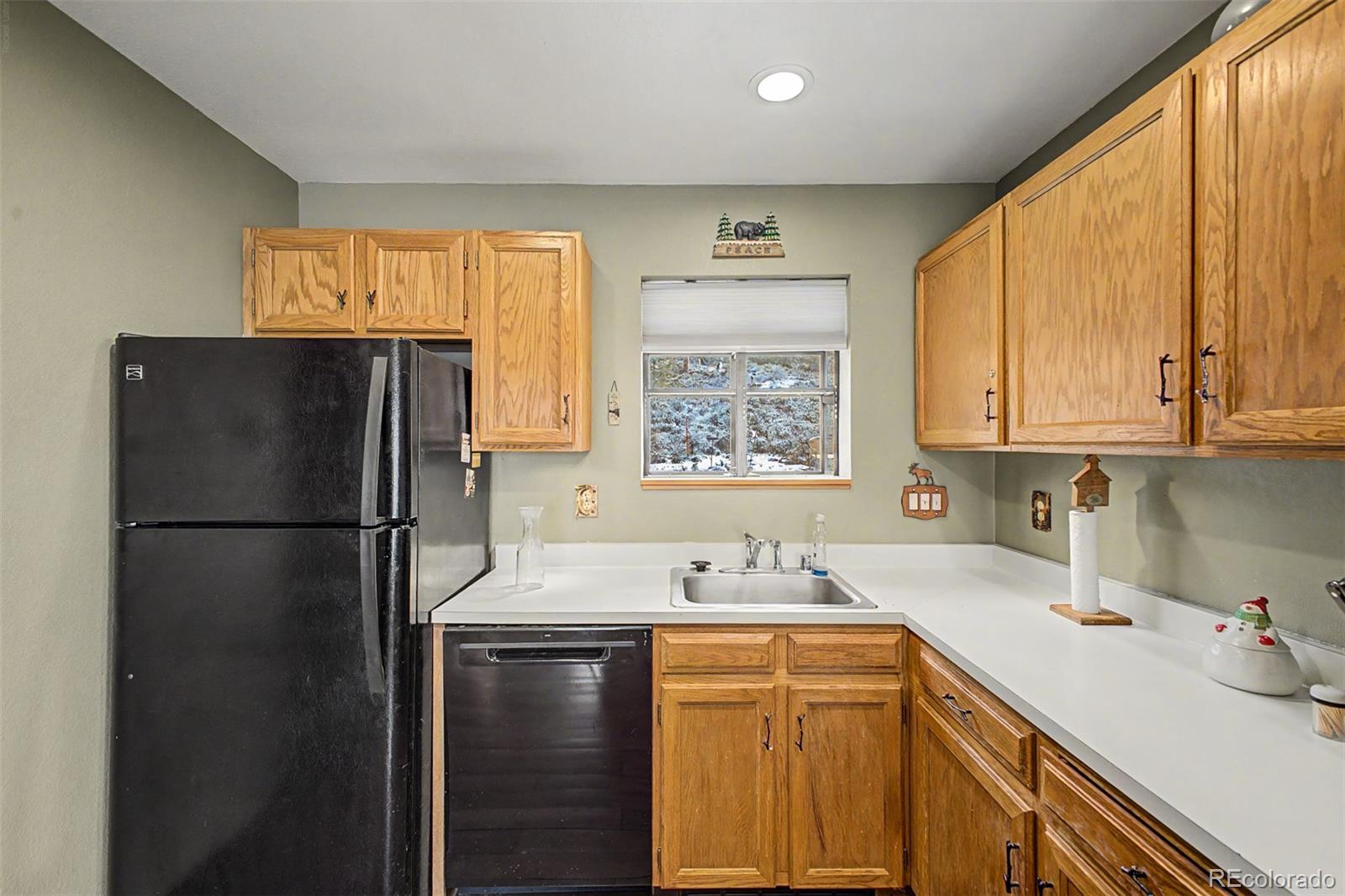 258 County Road 442 Grand Lake CO 80447