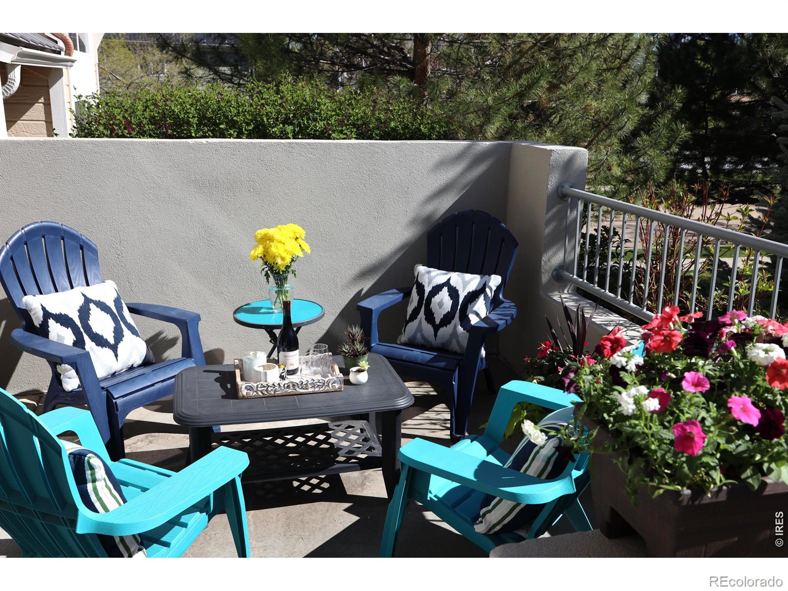 4116 Riley Drive Longmont CO 80503