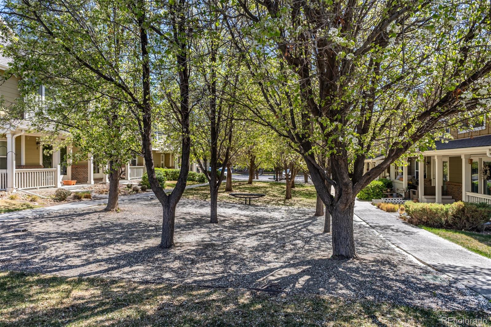 11991 Riverstone Circle Henderson CO 80640