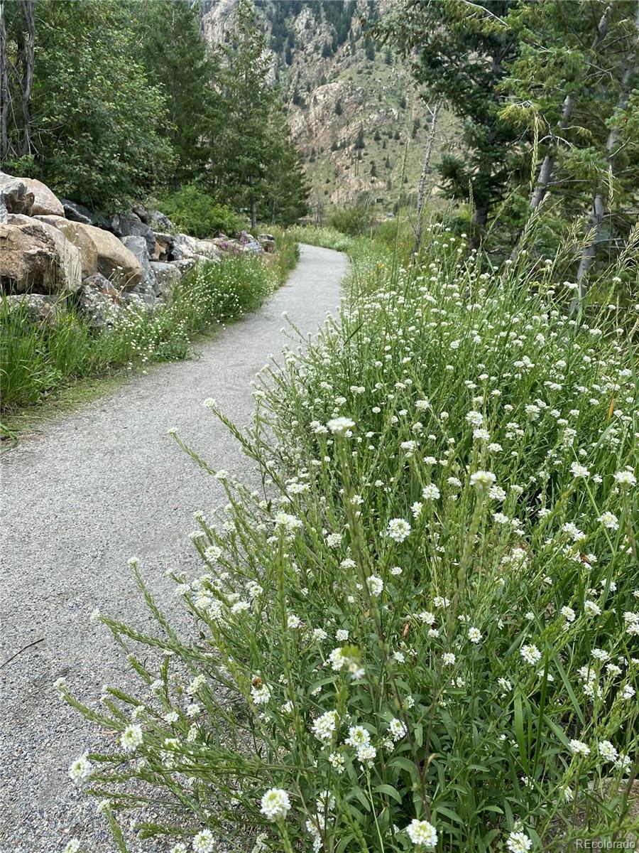 1901 Clear Creek Drive Georgetown CO 80444