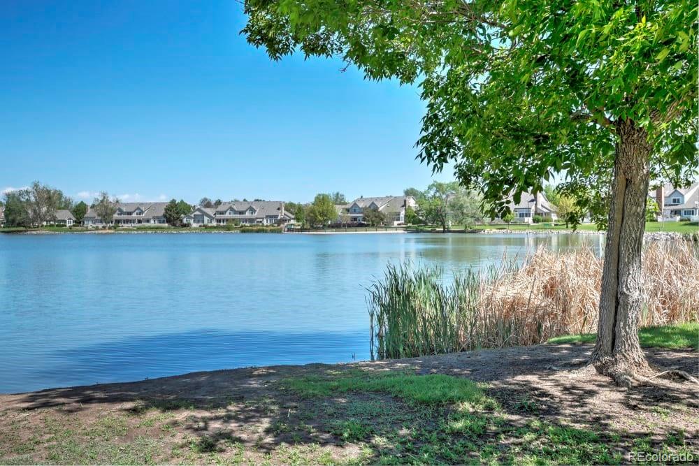 1272 E 130th Avenue Thornton CO 80241