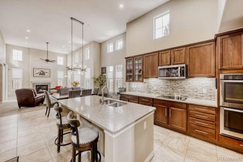 9534 Rosato Court Highlands Ranch CO 80126