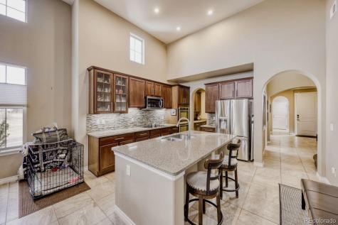 9534 Rosato Court Highlands Ranch CO 80126