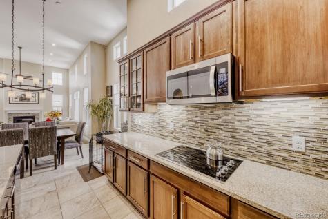 9534 Rosato Court Highlands Ranch CO 80126