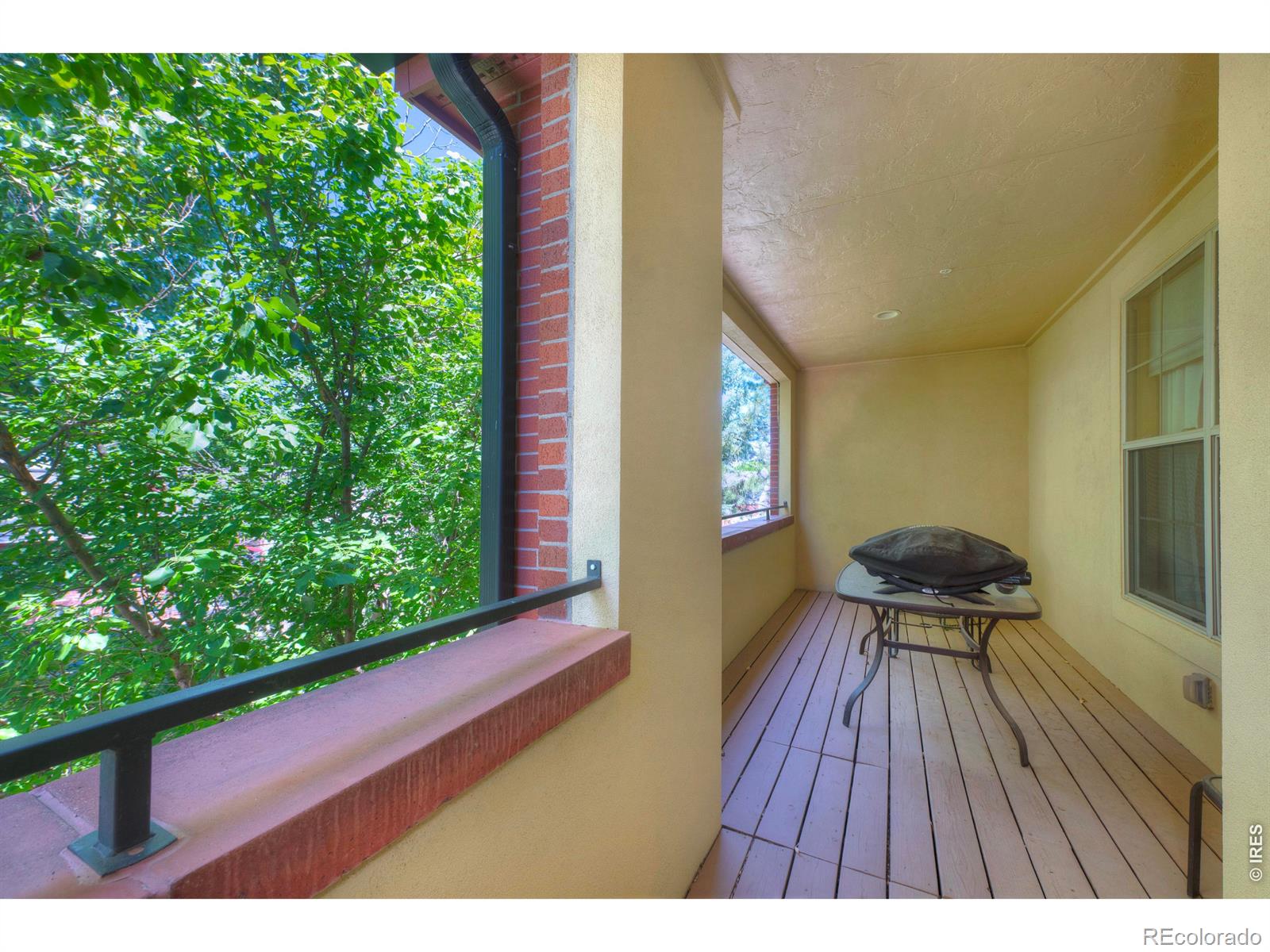 1379 Charles Drive Longmont CO 80503