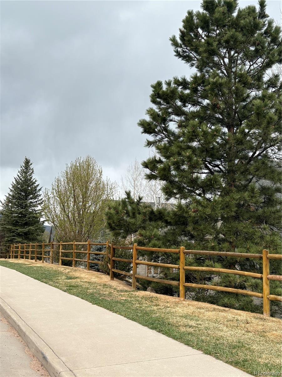 31276 Stone Canyon Road Evergreen CO 80439