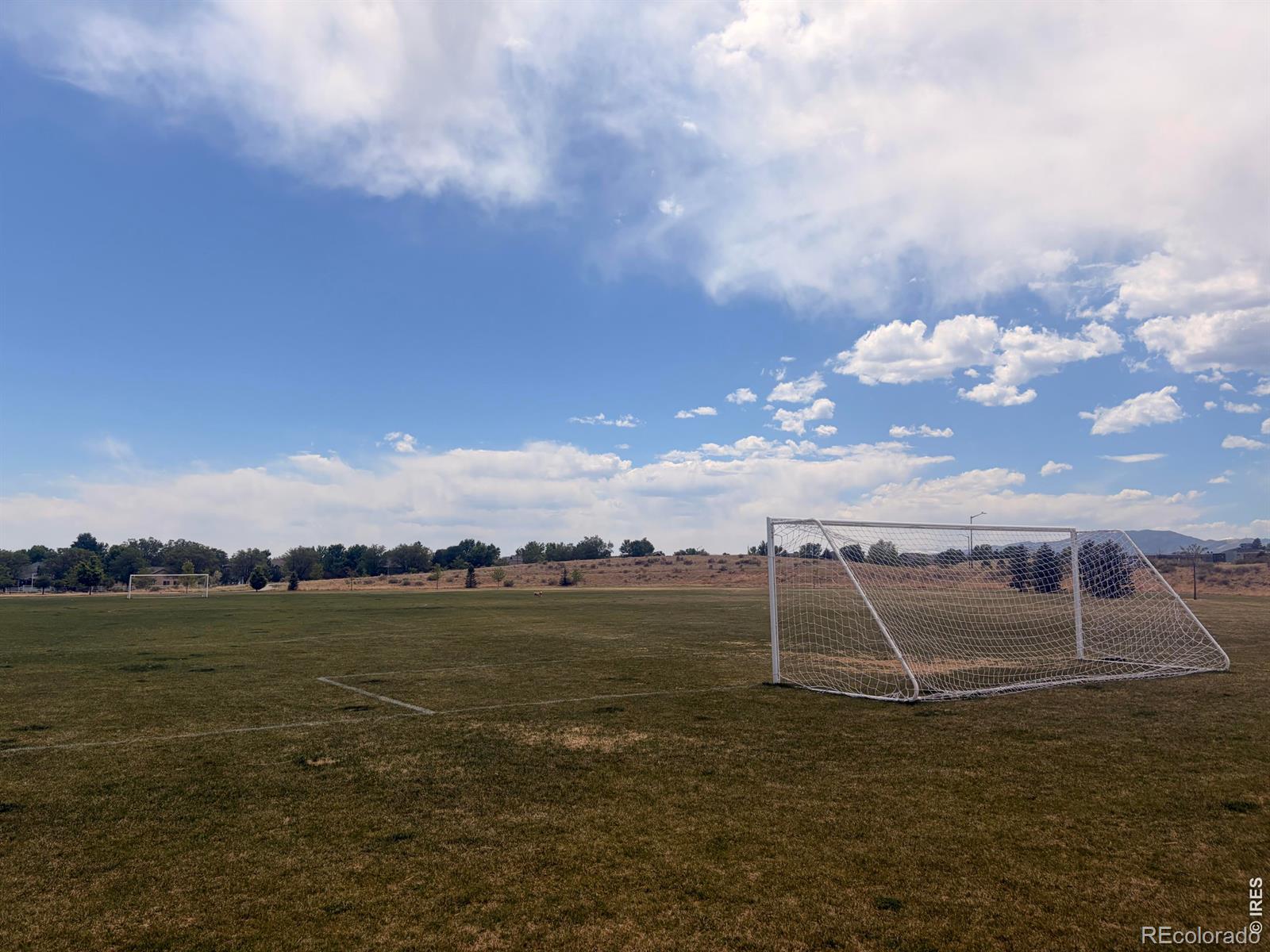 3075 Gladstone Avenue Loveland CO 80538