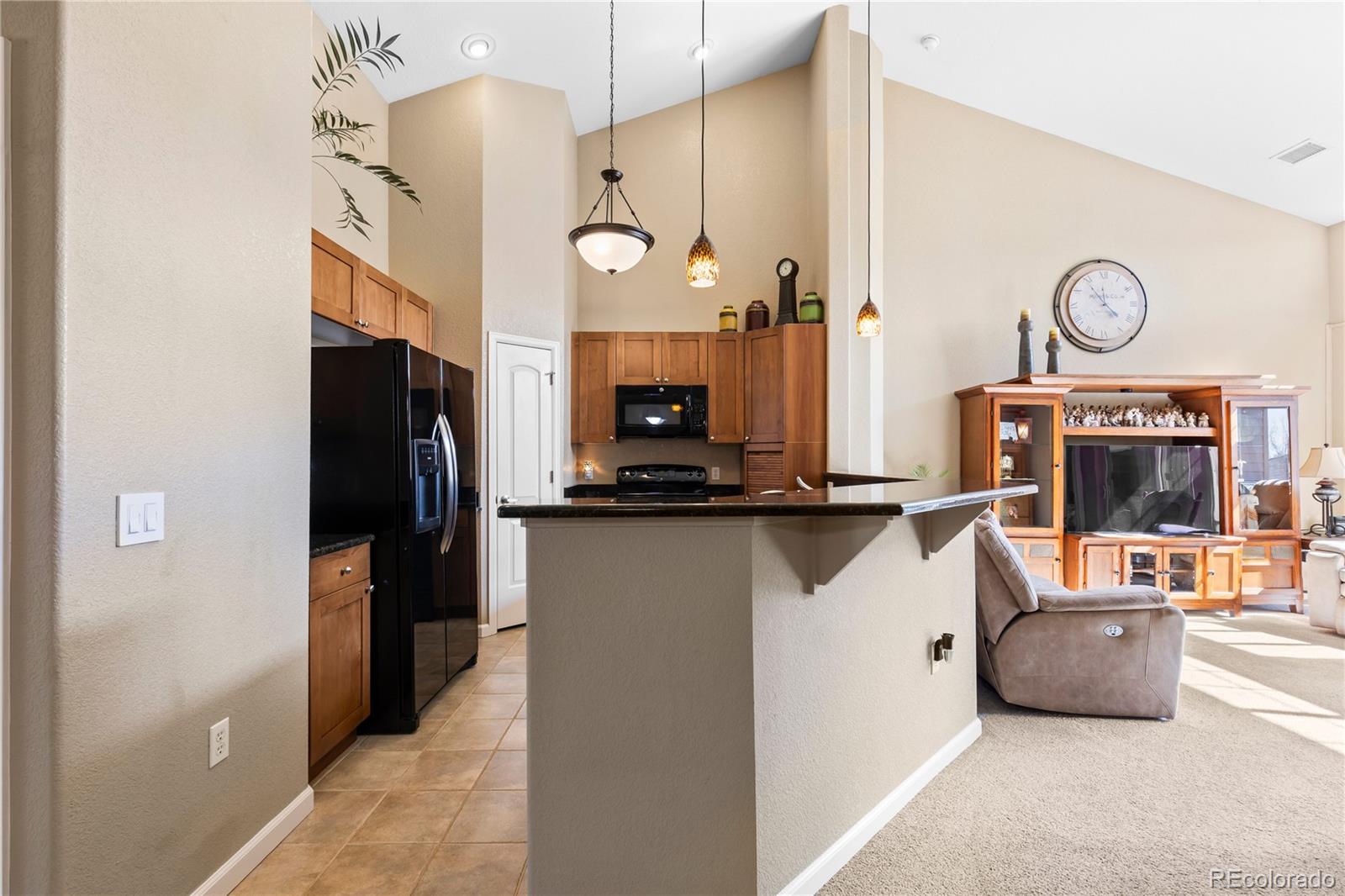 8614 Gold Peak Drive Highlands Ranch CO 80130