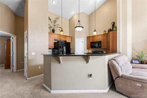8614 Gold Peak Drive Highlands Ranch CO 80130