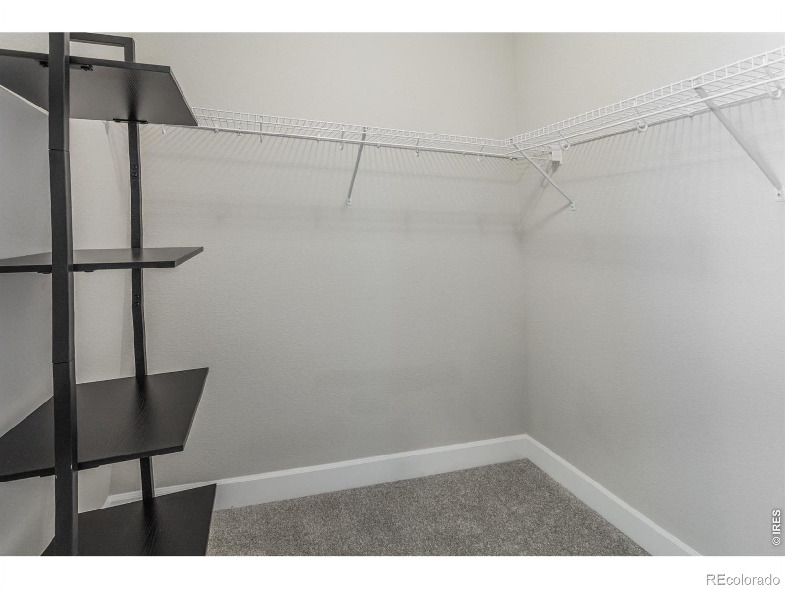857 Birdwhistle Lane Fort Collins CO 80524