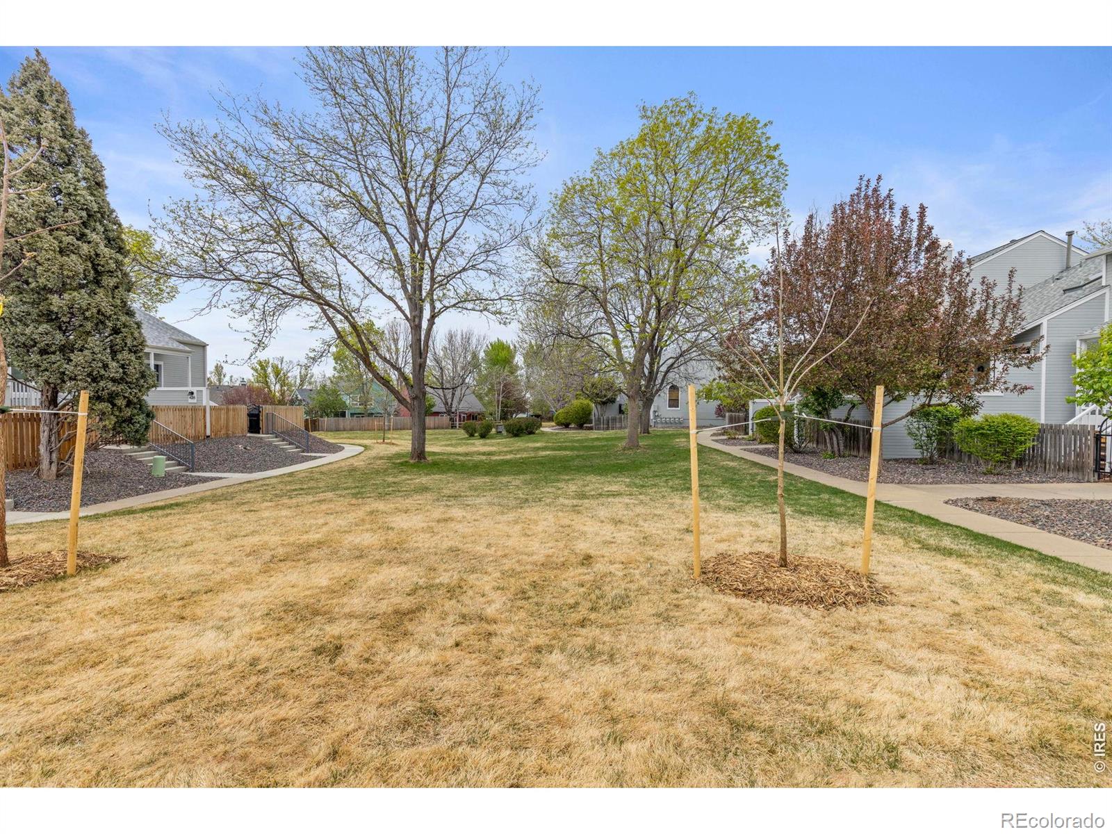 366 Owl Drive Louisville CO 80027