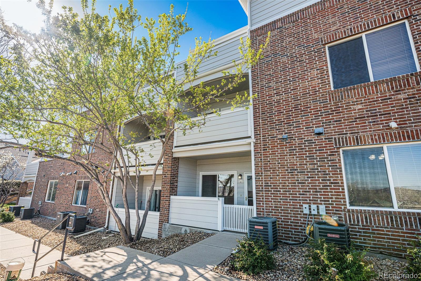 10149 W 55th Drive Arvada CO 80002