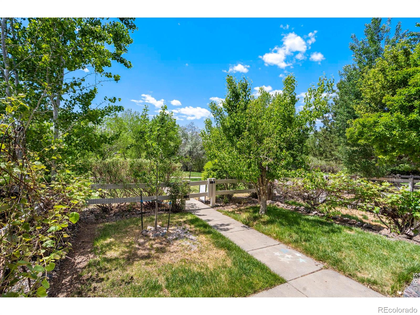 137 Bayside Circle Windsor CO 80550