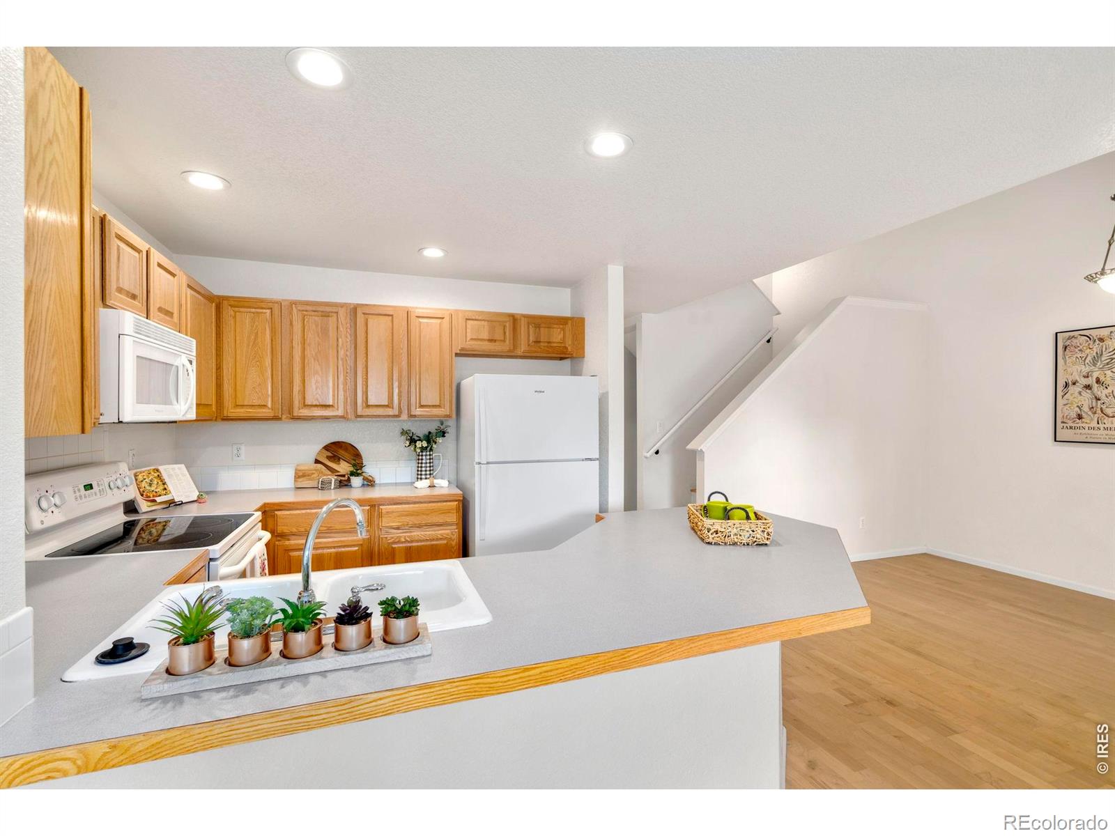 137 Bayside Circle Windsor CO 80550