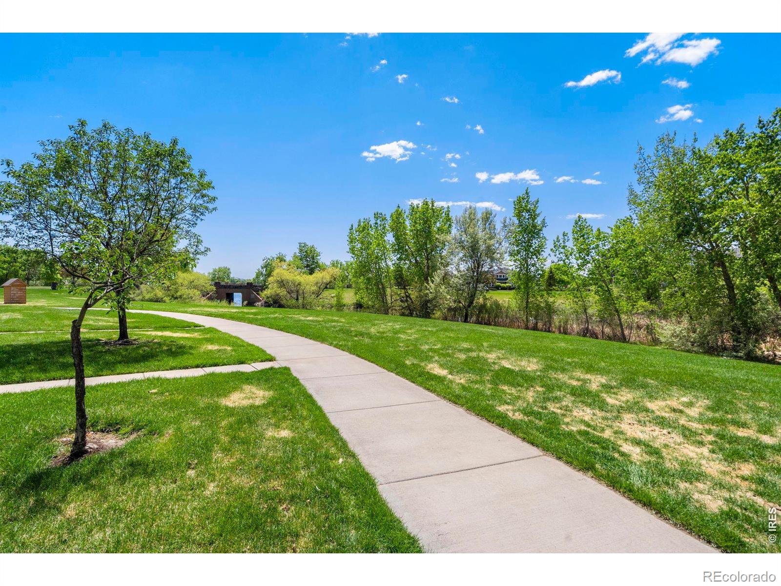 137 Bayside Circle Windsor CO 80550