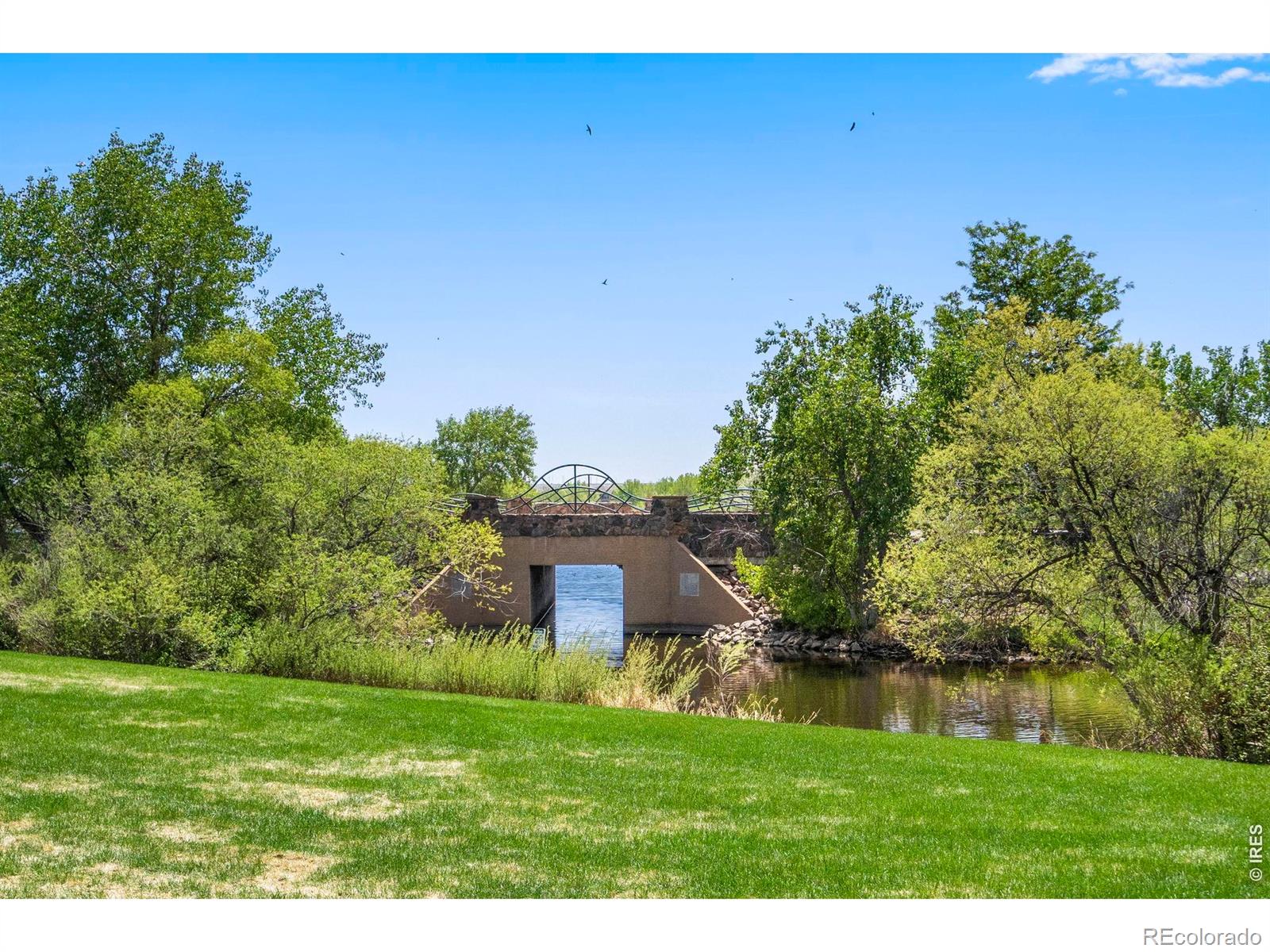 137 Bayside Circle Windsor CO 80550
