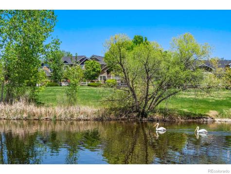 137 Bayside Circle Windsor CO 80550