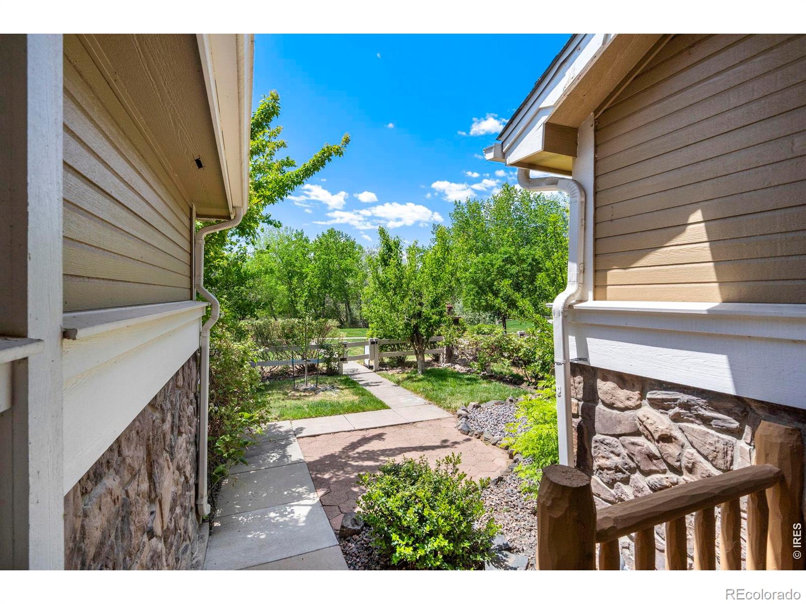 137 Bayside Circle Windsor CO 80550