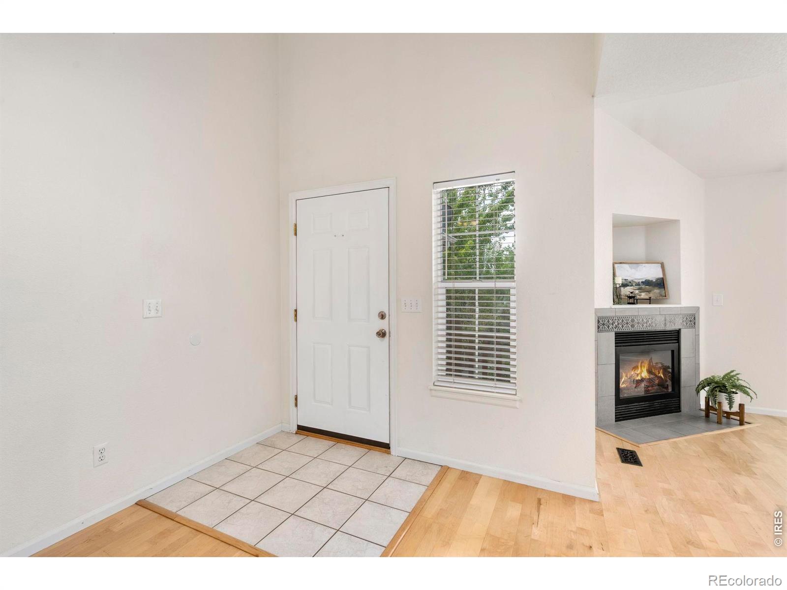 137 Bayside Circle Windsor CO 80550
