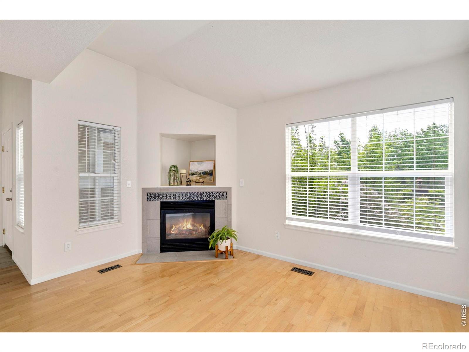 137 Bayside Circle Windsor CO 80550