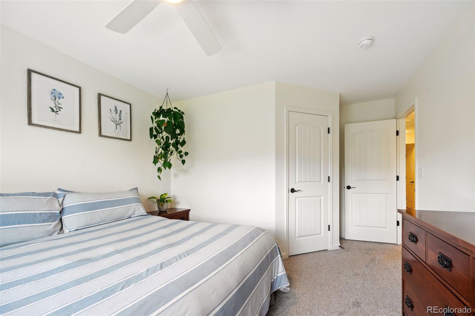 1914 Birmingham Loop Colorado Springs CO 80910