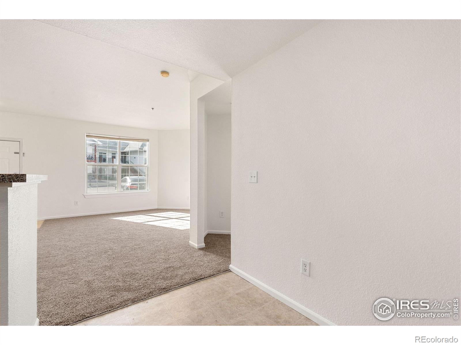 2990 W C Street Greeley CO 80631
