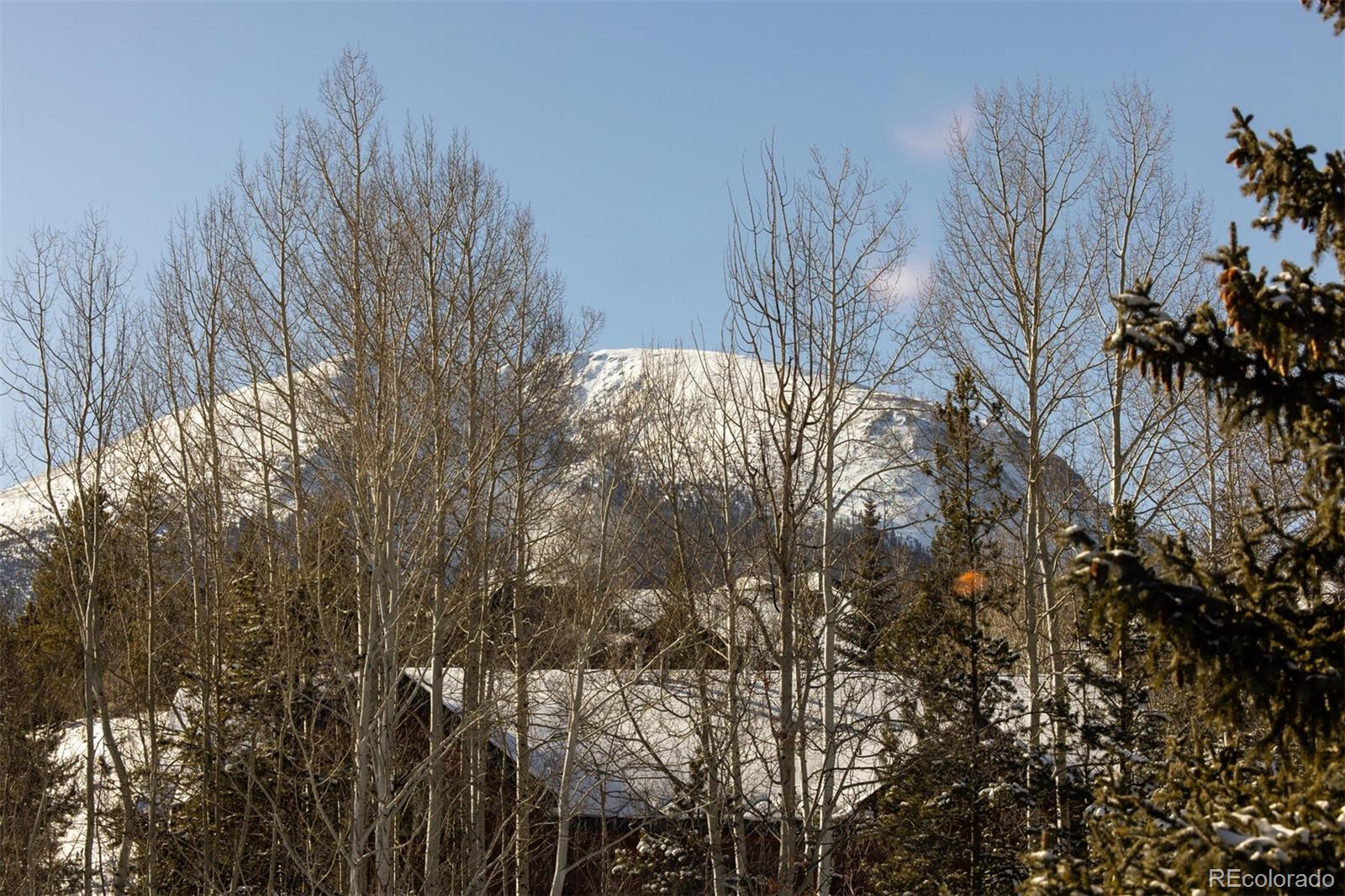 101 Ryan Gulch Court Silverthorne CO 80498
