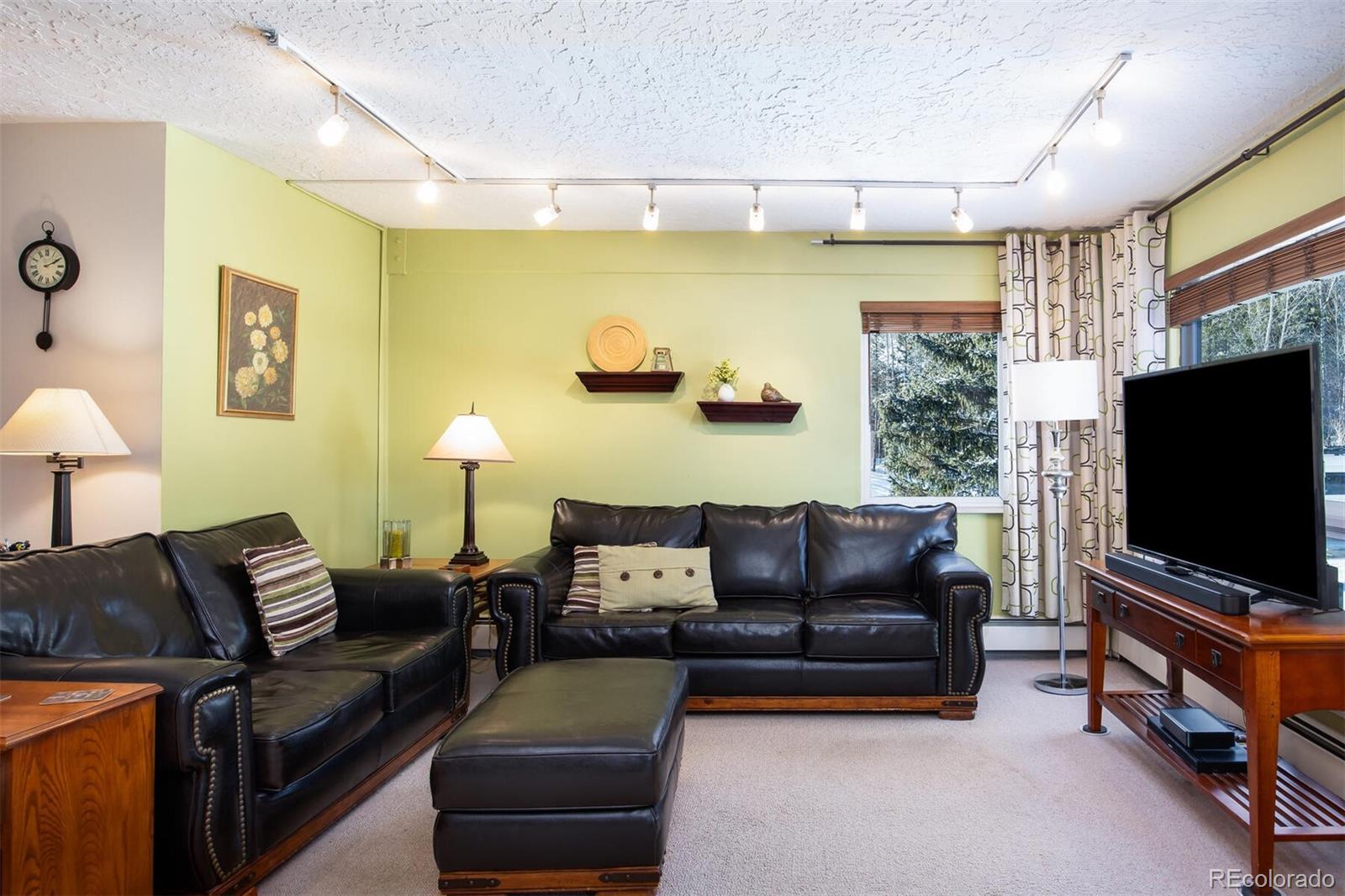 101 Ryan Gulch Court Silverthorne CO 80498