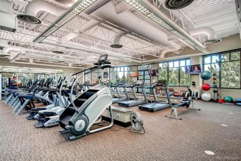 8643 Gold Peak Drive Highlands Ranch CO 80130