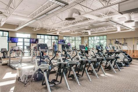 8643 Gold Peak Drive Highlands Ranch CO 80130