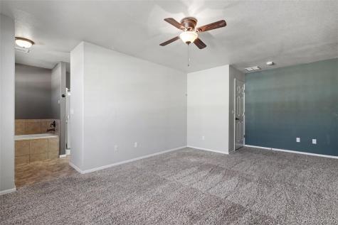 3051 Shikra View Colorado Springs CO 80916