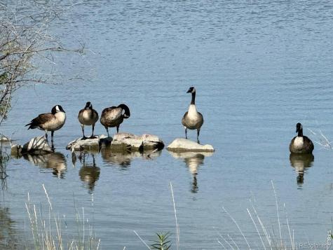 4195 N Park Drive Loveland CO 80538